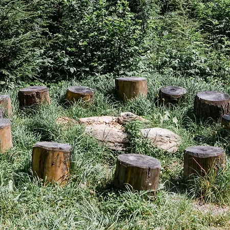 Almrausch * Grossarl